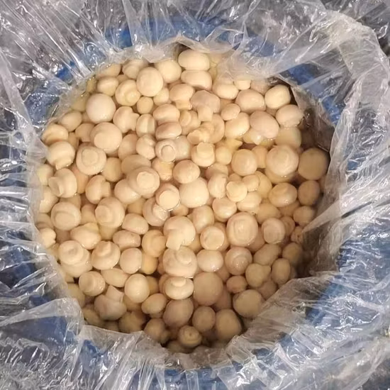 丸ごとシャンピニオンマッシュルーム SO2 ドラム缶パック