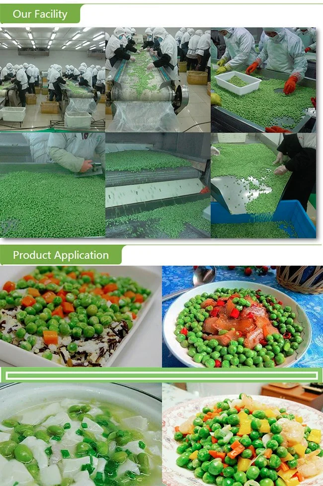 New Harvest A Grade Frozen IQF Green Color Peas with Competitive Price in Bulk Carton Package