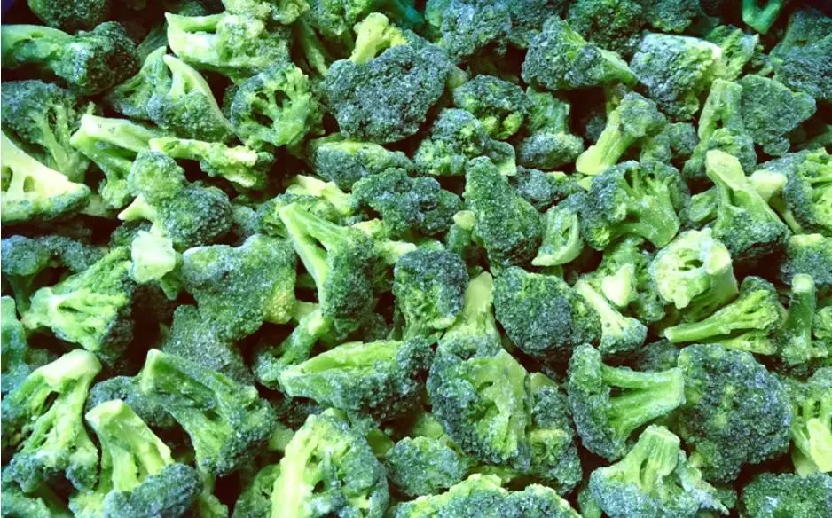 Frozen Broccoli Floret Frozen Vegetables, Frozen Food Carrot Fish Fresh Broccoli Hot Sale Withfda Halal ISO Certification