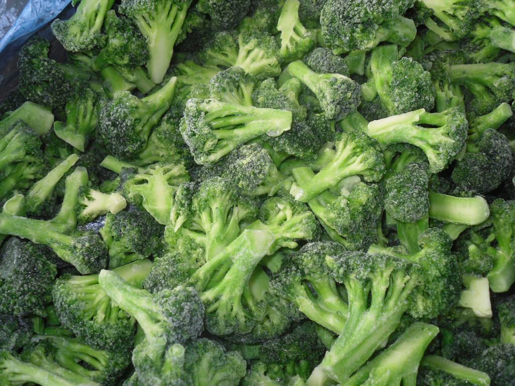 Frozen Vegetables IQF Broccoli Floret 2-4cm, 3-5cm, Broccoli Cut