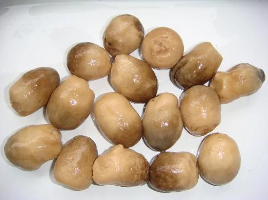 Health Food Canned Straw Mushroom Whole in Brine