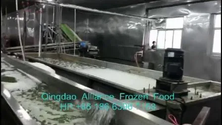 2022年新作作物中国野菜冷凍IQFグリーンピース、Brc ISO FDAコーシャ付き