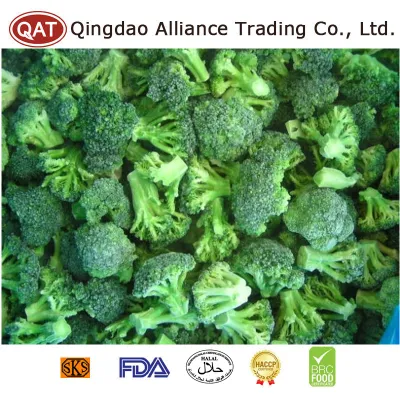 中国有機メーカー工場冷凍グリーン ブロッコリー カット IQF 作物のグリーン ブロッコリーを良い価格で