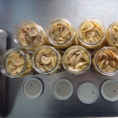 中国からの缶詰食品の良質の缶詰スライス全体キノコ