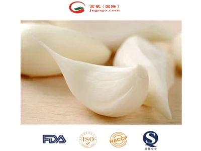 中国新作物ホットセール塩水ニンニククローブ